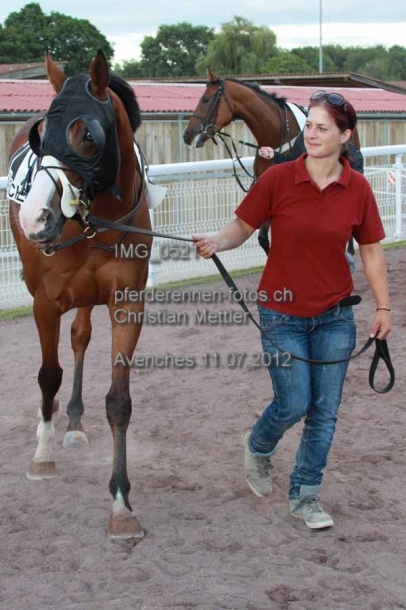 IMG 0521 prot