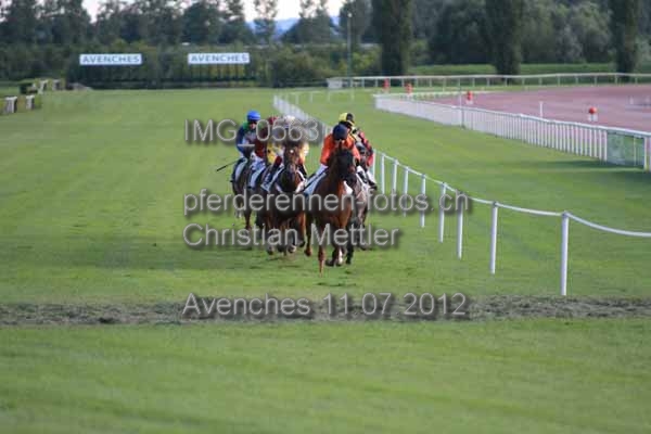 IMG 0563 prot