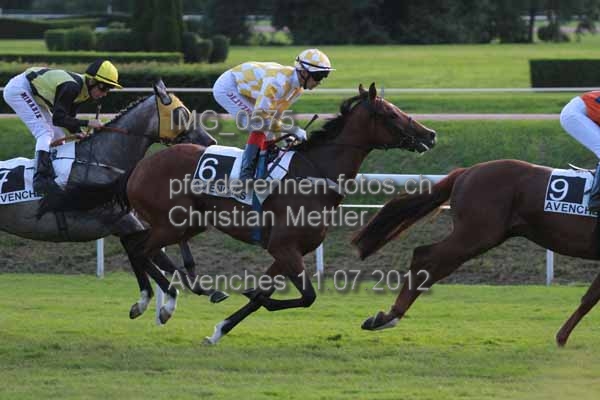 IMG 0575 prot