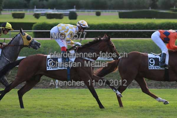 IMG 0577 prot