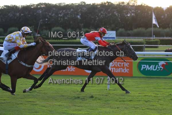 IMG 0613 prot