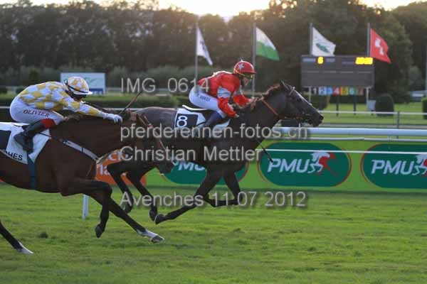 IMG 0614 prot