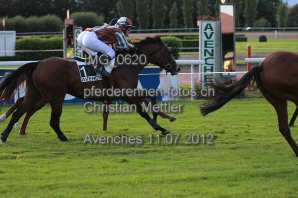 IMG 0620 prot