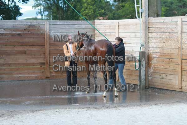 IMG 0647 prot