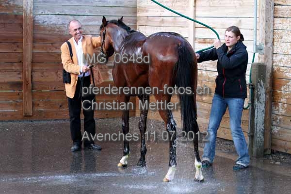 IMG 0648d prot