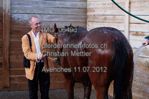 IMG 0649d prot