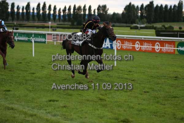 ET0Q0482 prot