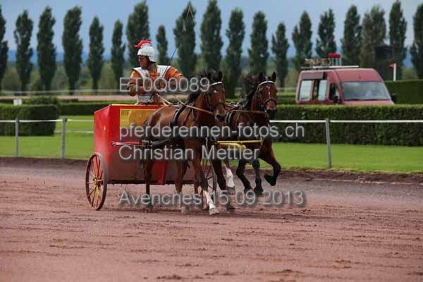 ET0Q0089 prot