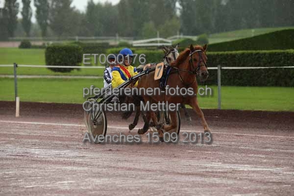 ET0Q0176 prot