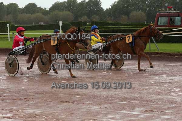 ET0Q0184 prot