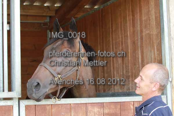 IMG 0018 prot