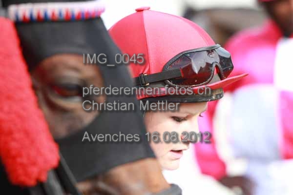 IMG 0045 prot