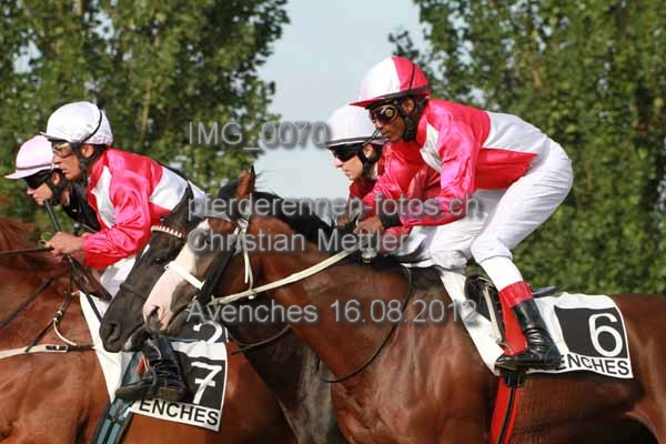 IMG 0070 prot