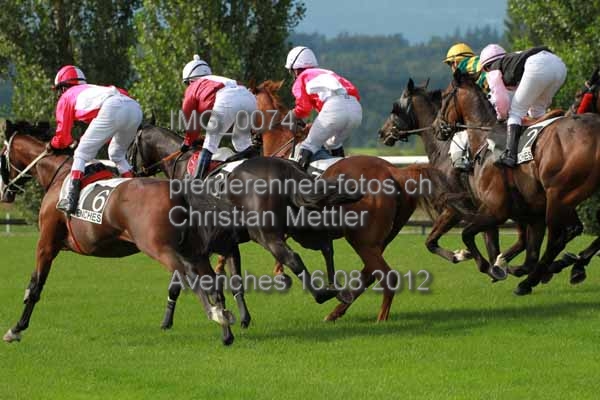IMG 0074 prot