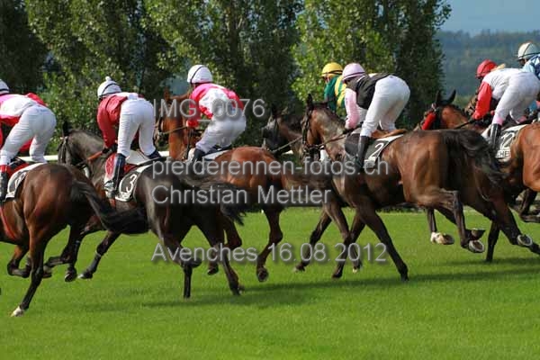 IMG 0076 prot