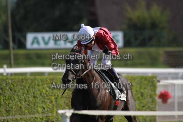 IMG 0084 prot