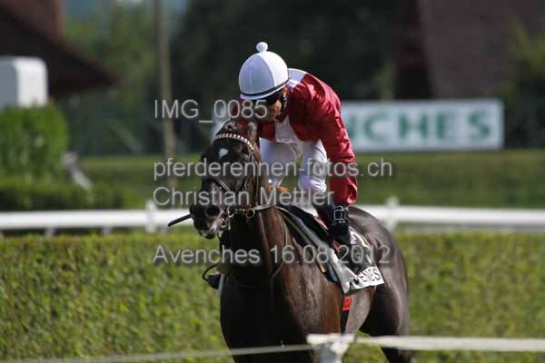 IMG 0085 prot
