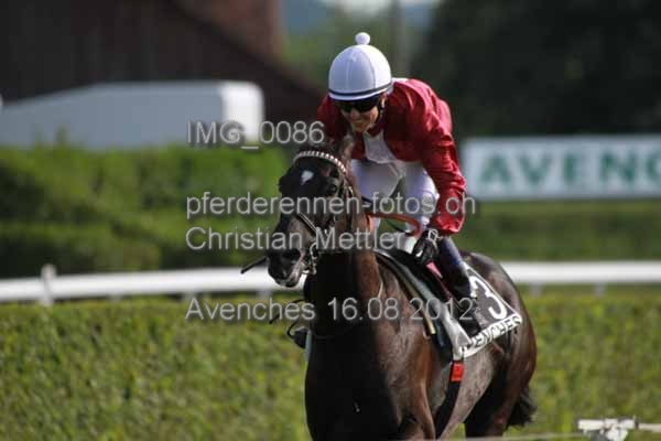 IMG 0086 prot