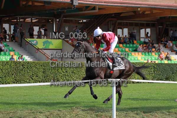 IMG 0093 prot