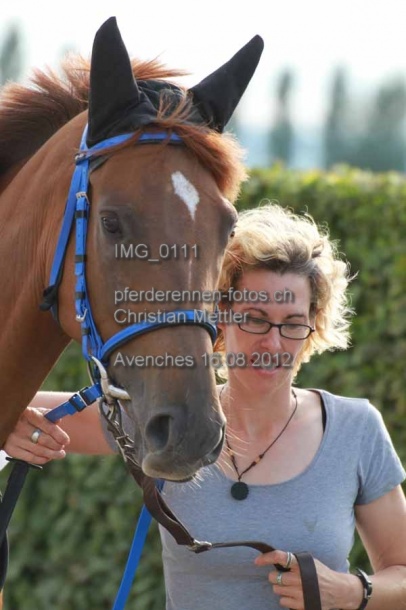 IMG 0111 prot
