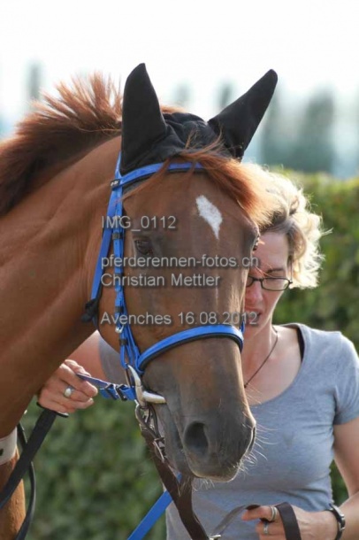 IMG 0112 prot