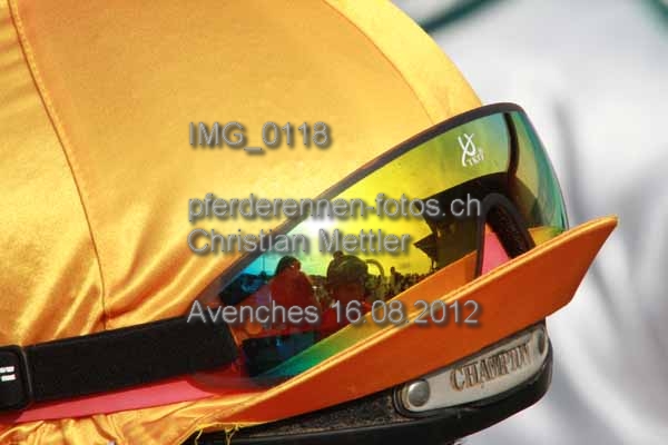 IMG 0118 prot