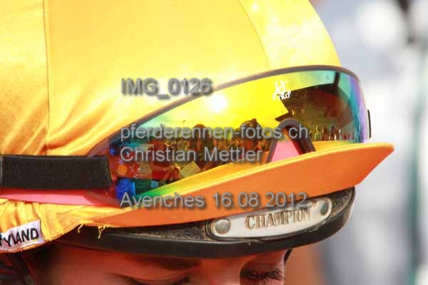 IMG 0126 prot