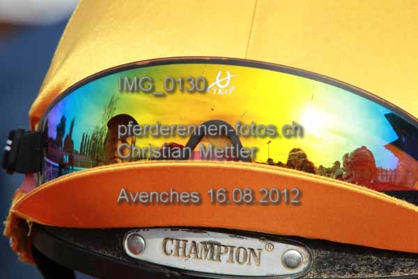 IMG 0130 prot