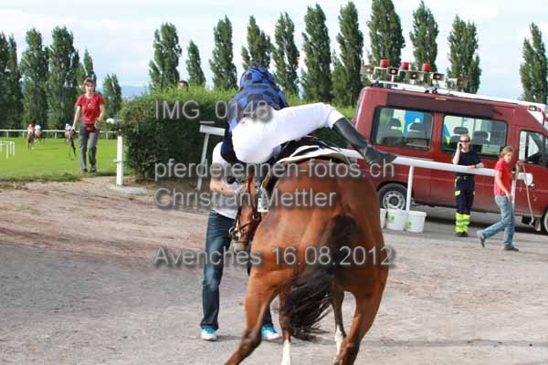 IMG 0148 prot