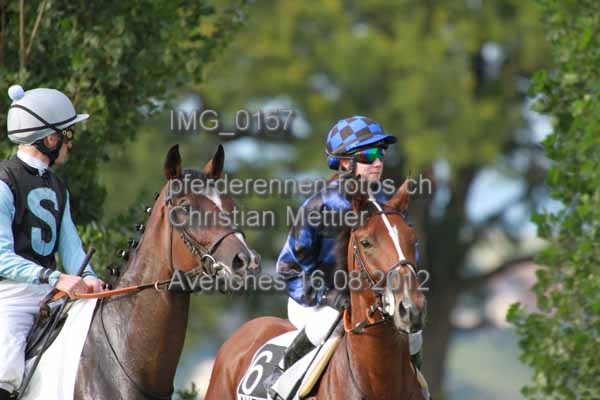 IMG 0157 prot