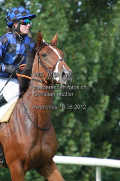 IMG 0158 prot