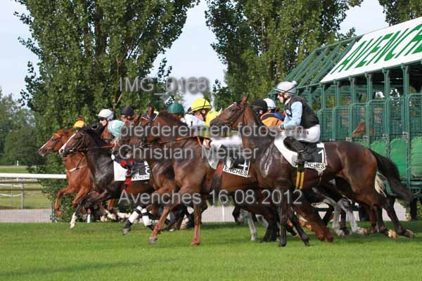 IMG 0168 prot