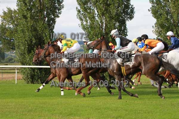 IMG 0172 prot