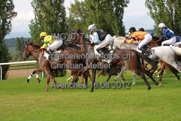 IMG 0174 prot