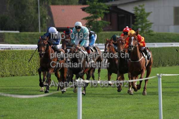 IMG 0182 prot