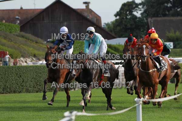 IMG 0192 prot