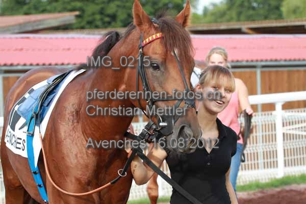 IMG 0215 prot