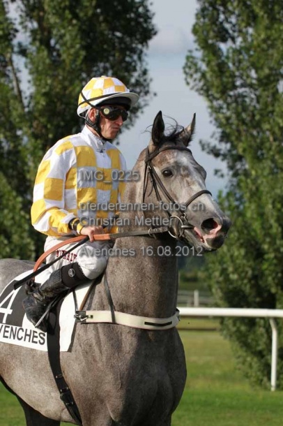 IMG 0225 prot