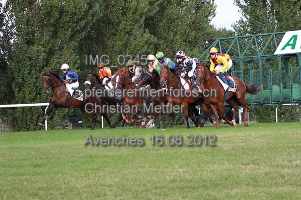 IMG 0245 prot