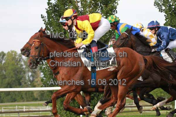 IMG 0246 prot