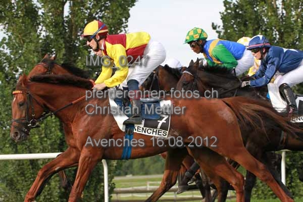 IMG 0247 prot