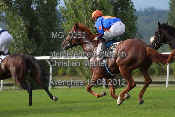 IMG 0252 prot