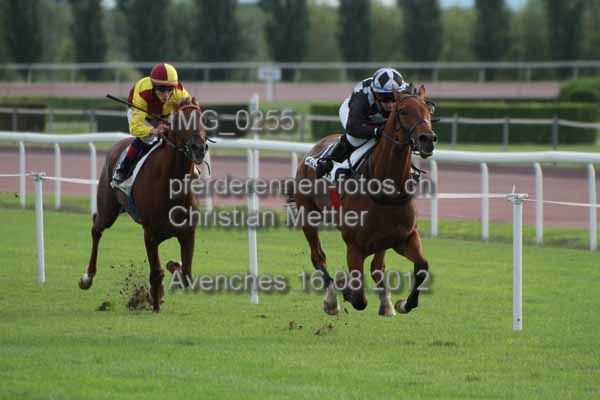 IMG 0255 prot