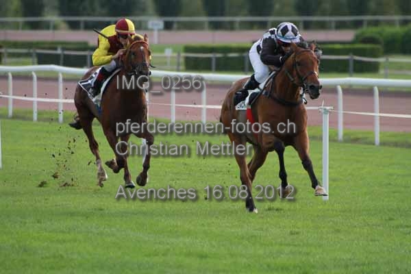 IMG 0256 prot