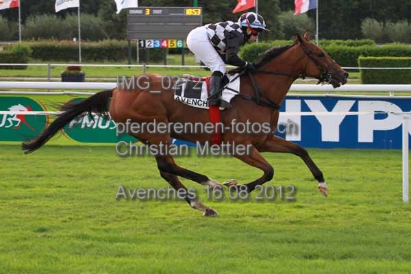 IMG 0272 prot