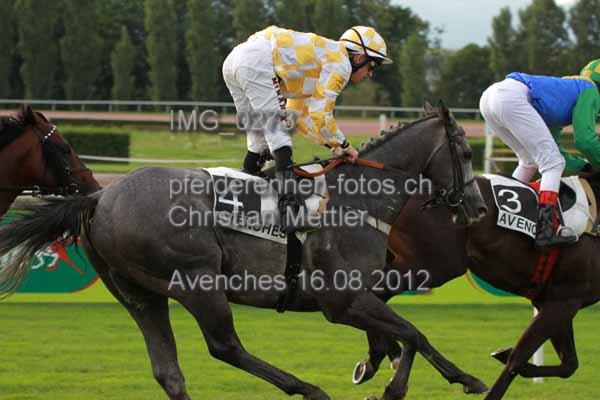 IMG 0273 prot
