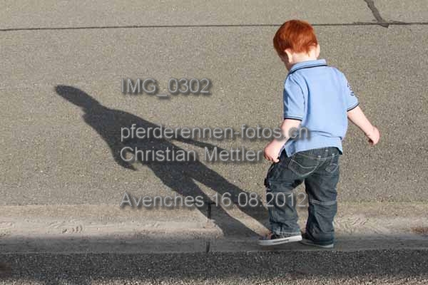IMG 0302 prot