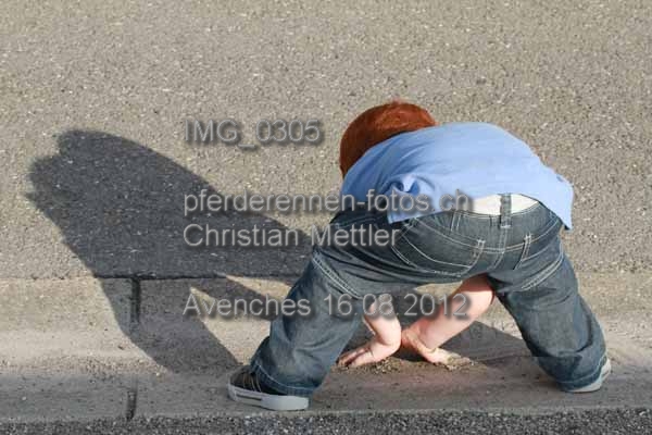 IMG 0305 prot