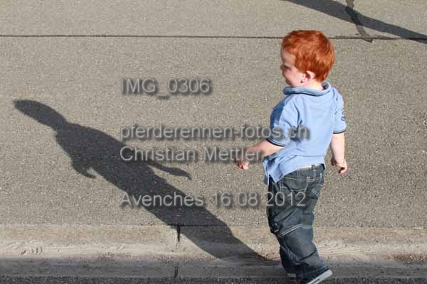 IMG 0306 prot
