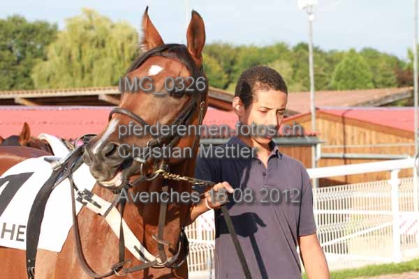 IMG 0326 prot